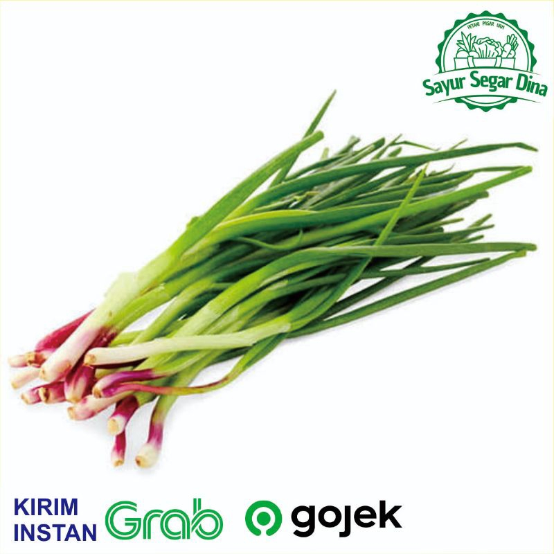 

Daun Bawang Segar Fresh - 100 gr