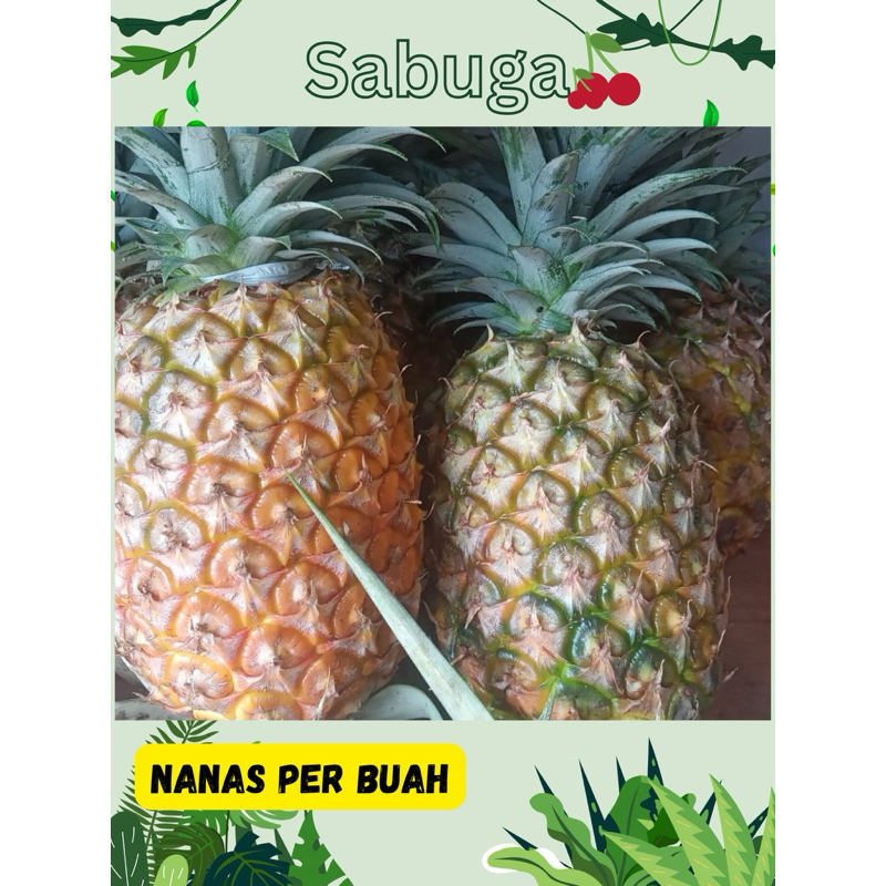 

NANAS SEGAR PER BUAH