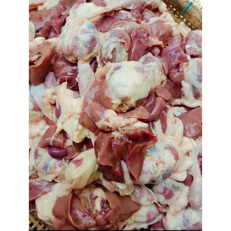 

ati ampela ayam 10pasang kotor #dagingayam #atiayam