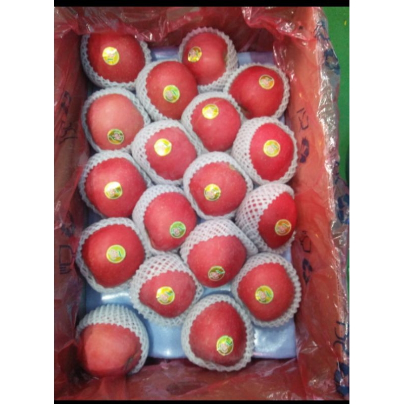 

Apel Fuji Premium Size besar Promo termurahhh