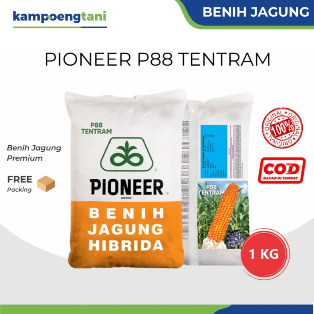 Kampoeng Tani - Pioneer P88 Tentram Benih Jagung 1 KG