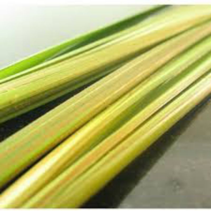 

daun kelapa muda untuk membuat ketupat pres 50 pcs