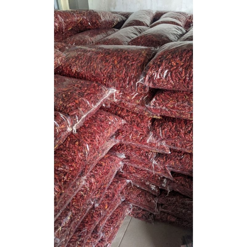 

cengek kering caplak best