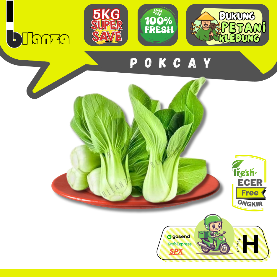 

Bllanza | Sawi Sendok / Pokcay / Pokcoi / Pakcoy / Pokcai — Sahabat Makan Sayur ECER (H)