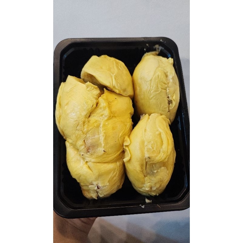 

DURIAN BOX MONTONG