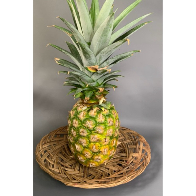 

buah nanas kuning sunpride segar jumbo (1 buah)