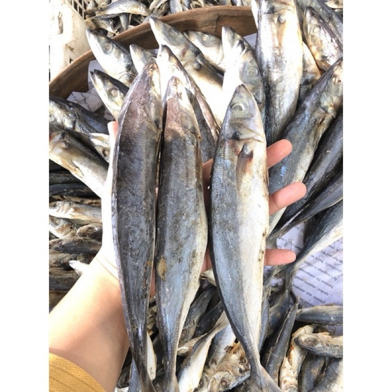 

1kg IKAN ASIN BISA PILIH