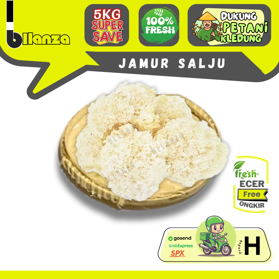 

Bllanza | Jamur Salju Putih / Matahari — Sahabat Makan Sayur ECER (H)