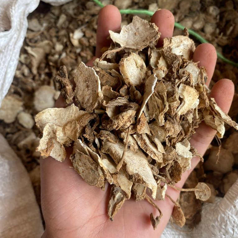 

Kunyit Putih Gombyok Kering 1kg Kunci Pepet Cacahan Kering Temu Pepet Kunyit Putih Asli