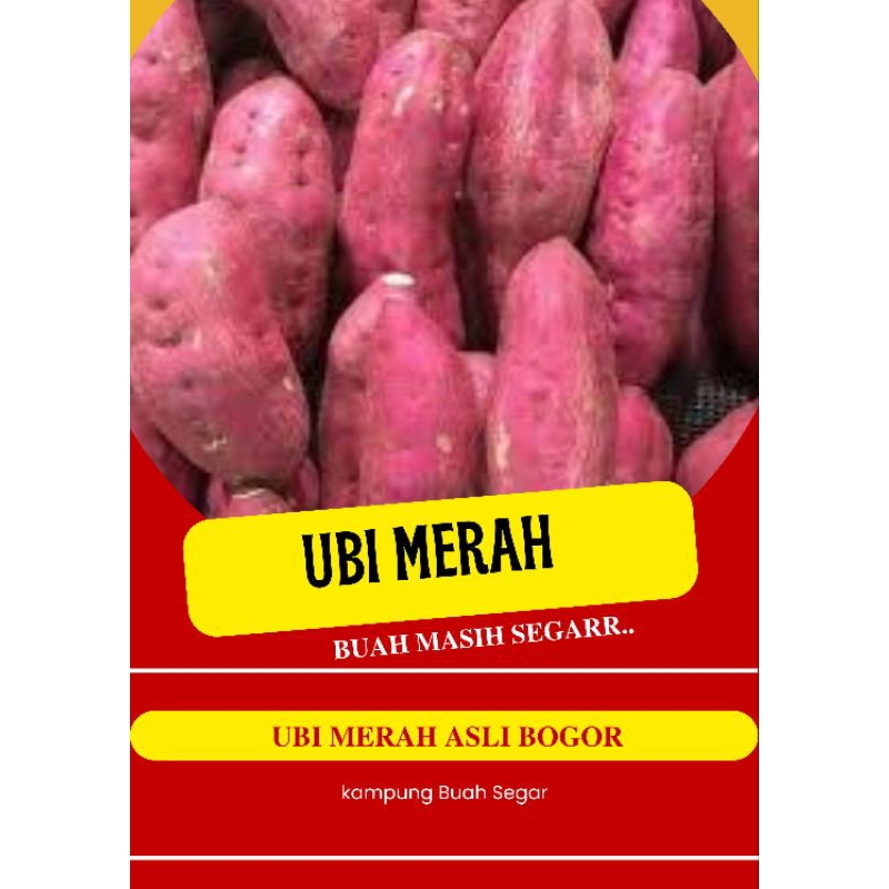 

ubi merah 1kg asli fres