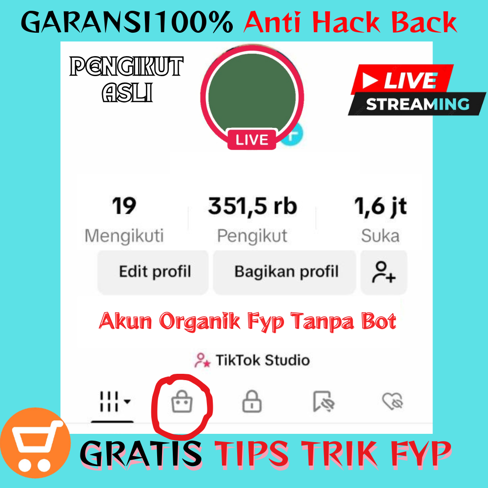 AKUN Tt TIKTOK FOLLOWERS INDO AKTIF HASIL KONTEN FYP BISA LIVE