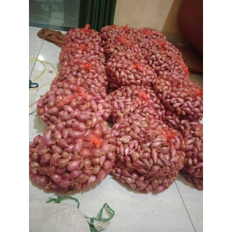 

Bawang Merah Brebes Asli Termurah 1kg sedang