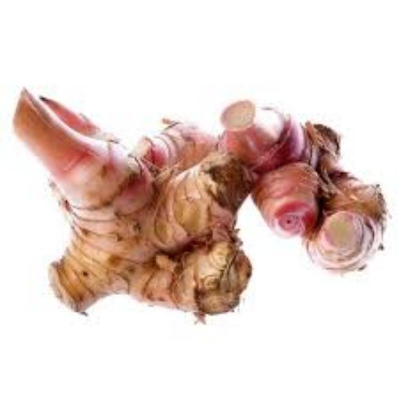 

umbi laja asli atau lengkuas 1 kg