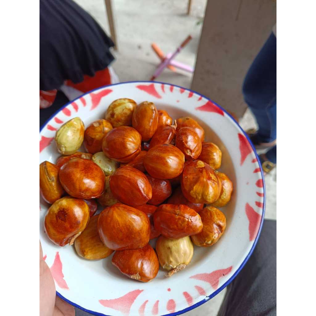 

Jengkol Enak Asli Padang berat 250 Gram Murah Tanpa Kulit