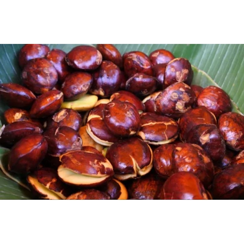 

jengkol 1kg