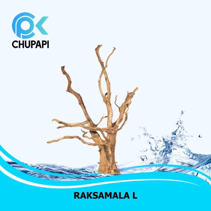 Akar Kayu Rasamala Dekorasi Bonsai Aquascape Hardscape - Size L