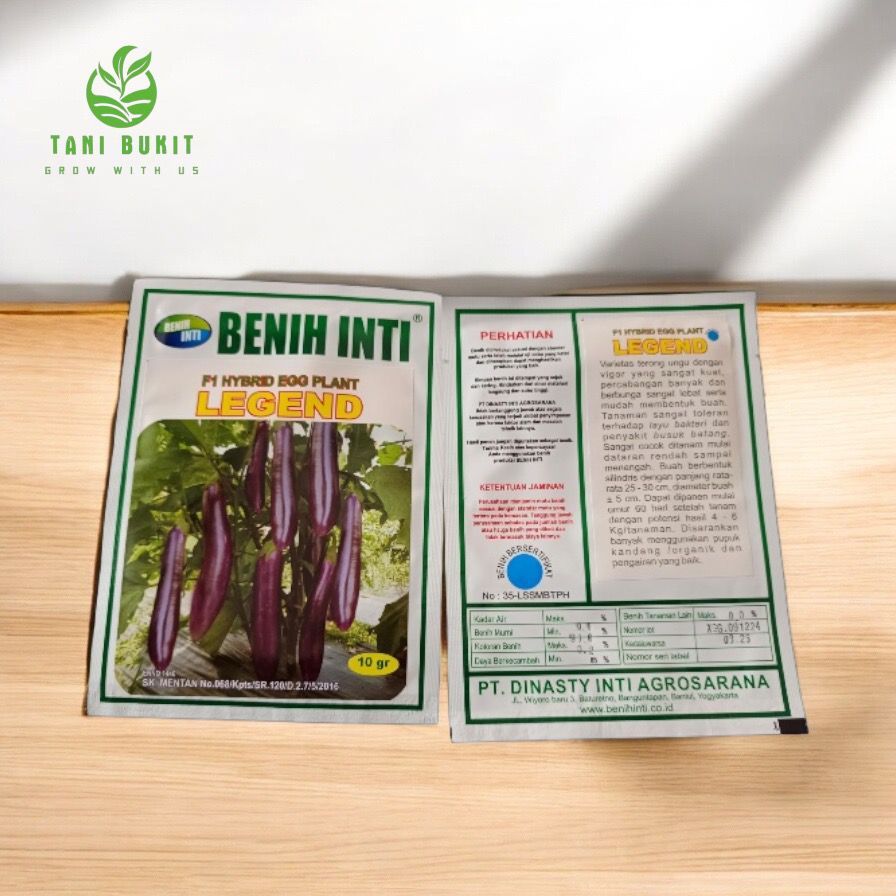 BENIH TERONG UNGU F1 HYBRID LEGEND 10 GR - BENIH INTI