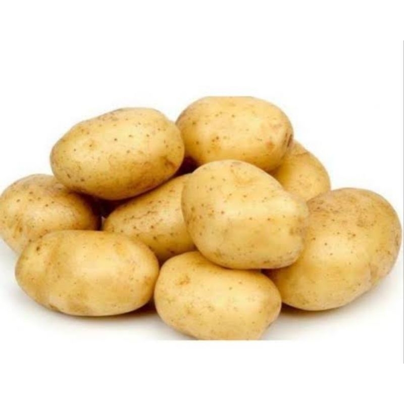 

kentang kuning sedang