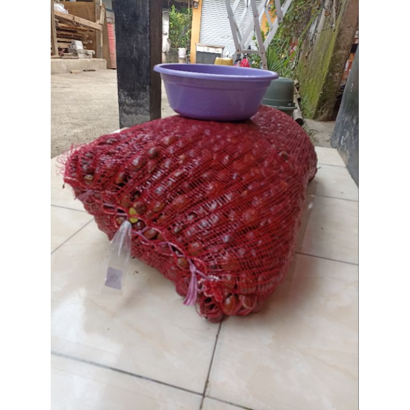 

jengkol super asli sumatra