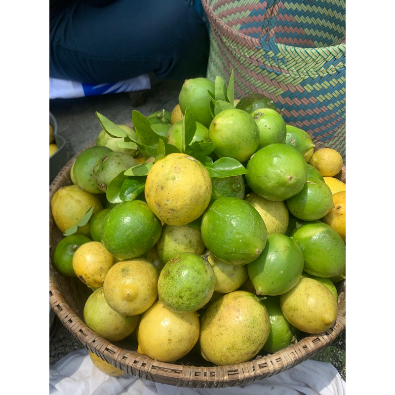 

LEMON LOKAL ASLI FRESH