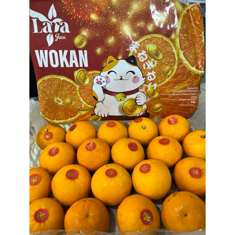 

Wokam Lara manis / Jeruk wokam