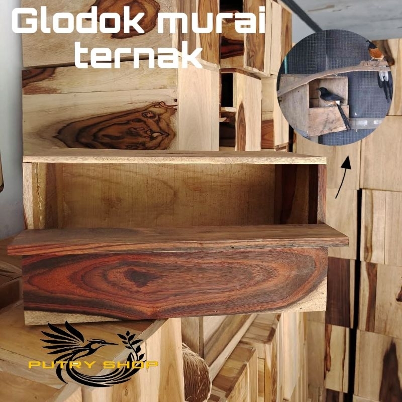 Glodok murai ternak