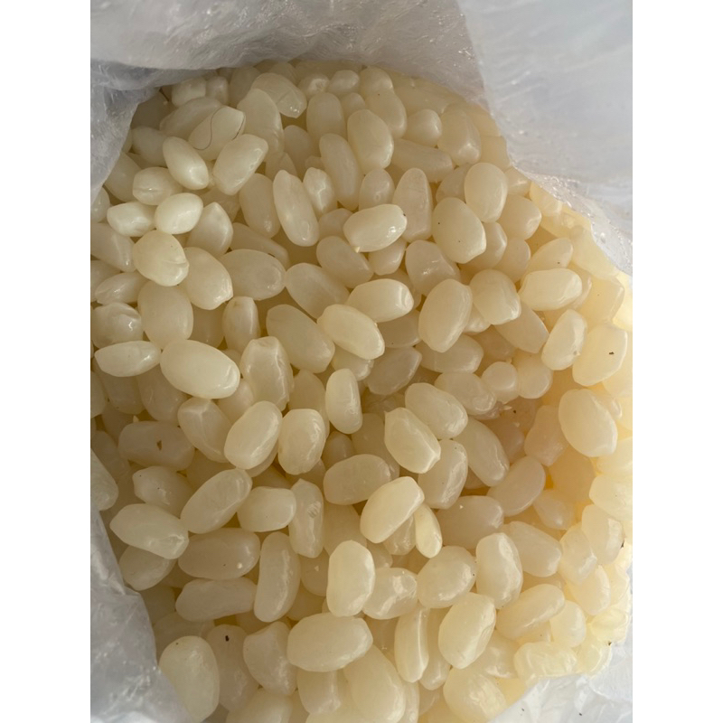 

kolang kaling mentah 1 kg