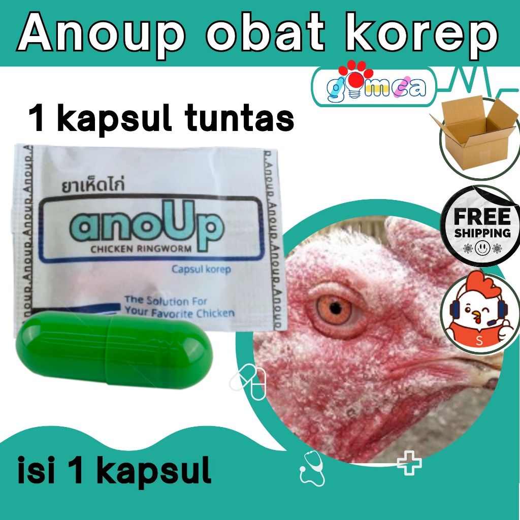 obat korep ayam aduan super ampuh gimca