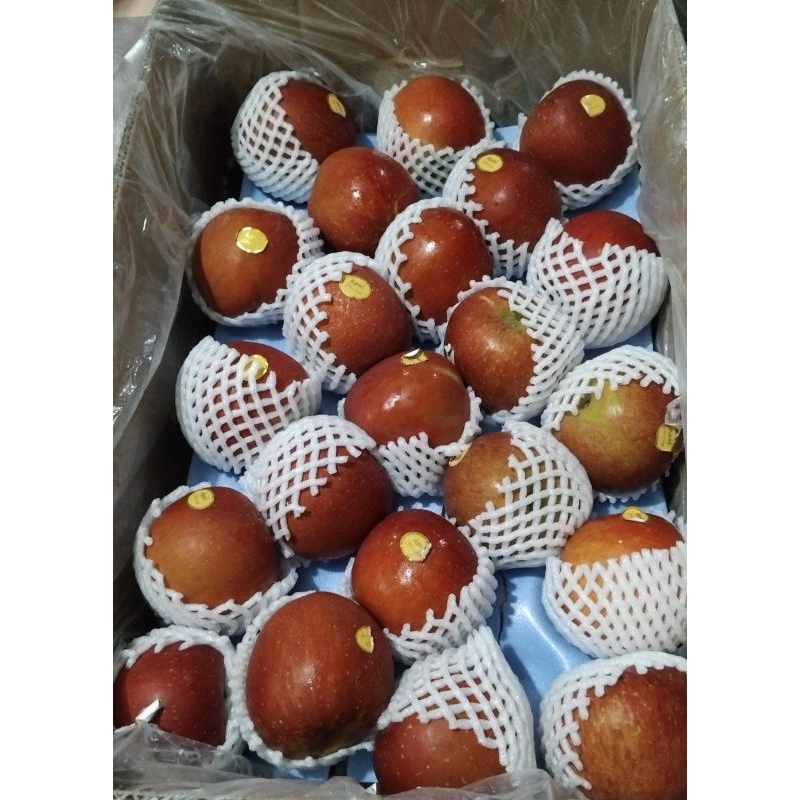 

Indukbuah Buah Apel Madu Gala China 1 Dus 18kg