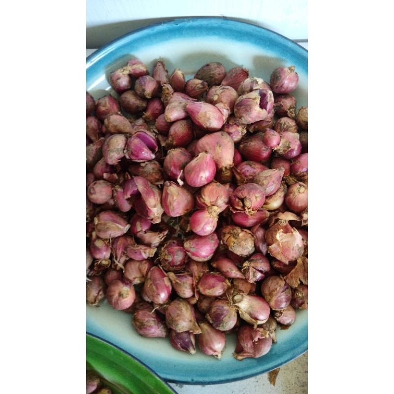 

Bawang Merah Madura 1KG