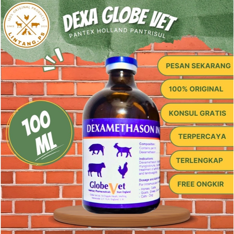 Dexa Globe Vet 100ml - Dexamethason Pantex holland - Obat Injek Hewan Ternak