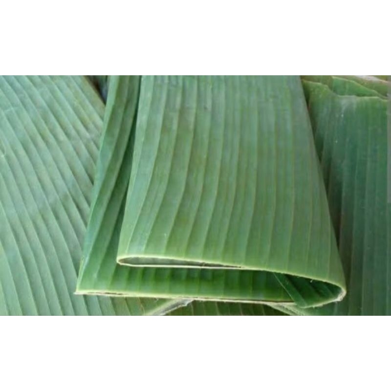 

daun pisang