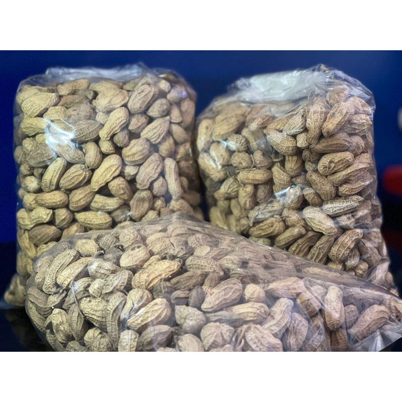 

Kacang Kulit Gurih