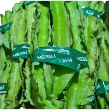 

INSTAN - KECIPIR 250GRAM