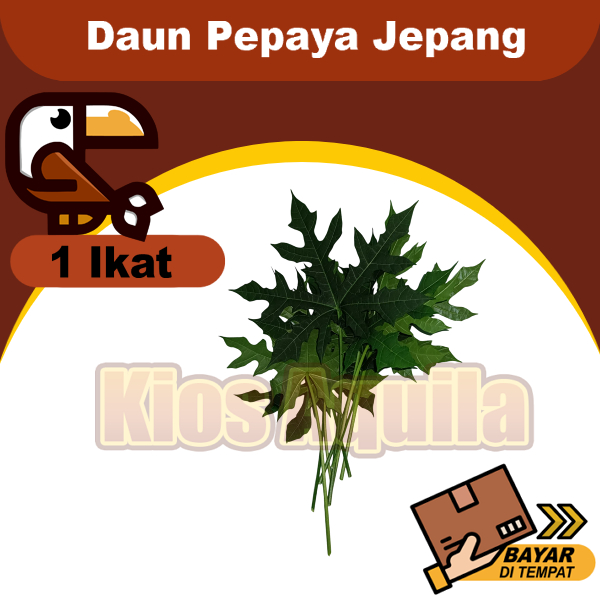 

Daun Pepaya Jepang 1 Ikat Bukan Gedi Obat Herbal Ecoprint
