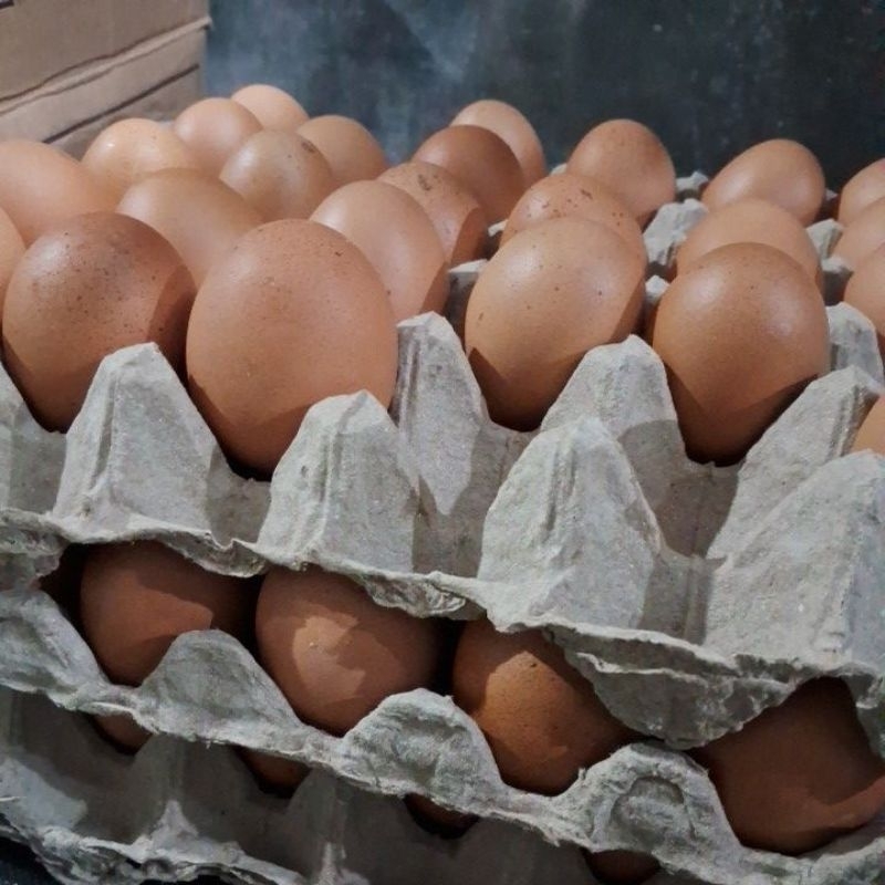 

Telur ayam 4 butir