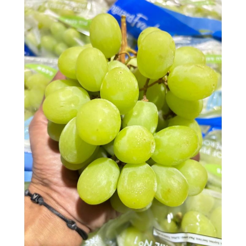 

Buah Anggur Ivory Peru | Anggur green ivory | Anggur Peru manis kriuk