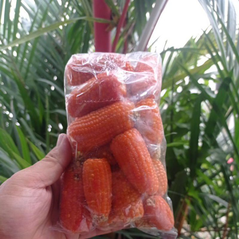 Gigitan Hamster Jagung Kering 500gr / Mainan Hamster Dried Corn