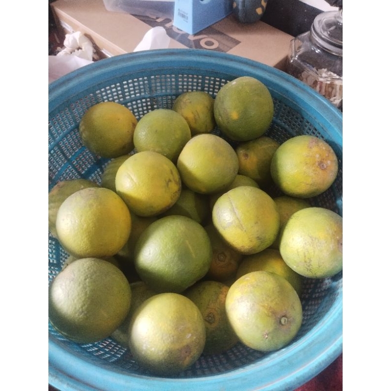 

Jeruk baby/java (1kg) fresh / jeruk malang