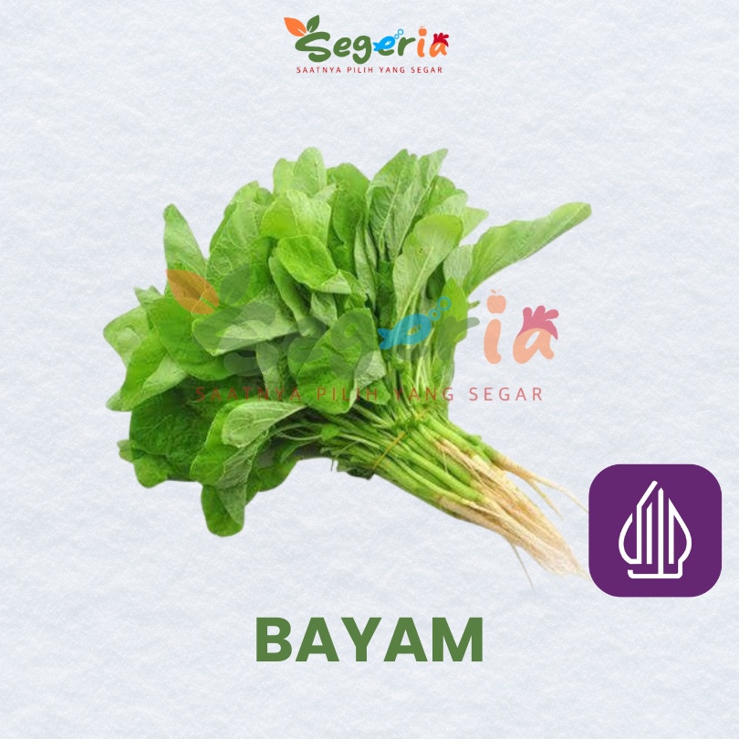 

BAYAM