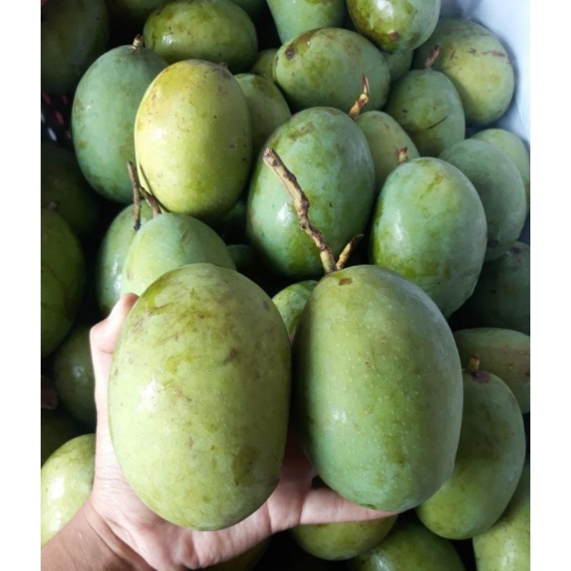 

mangga kweni 1kg