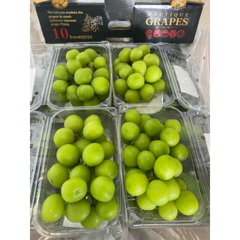 

Anggur Muscat 35rb