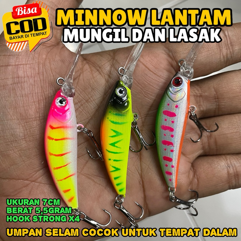 MINNOW LANTAM LIDAH PANJANG MUNGIL / LURE MINNOW LANTAM LIDAH PANJANG MUNGIL / UMPAN MINNOW LIDAH PA
