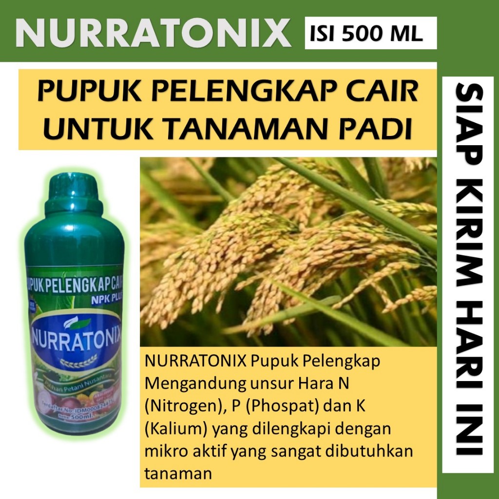 500 ML PUPUK NURRATONIX pupuk padi sawah terbaik -  pupk padi semprot pelebat buah TERLARIS - pupuk 