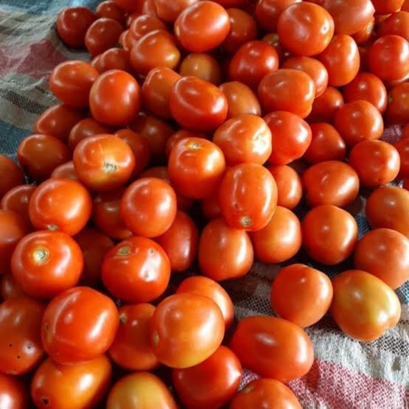 

Hijau Sayur Tomat merah