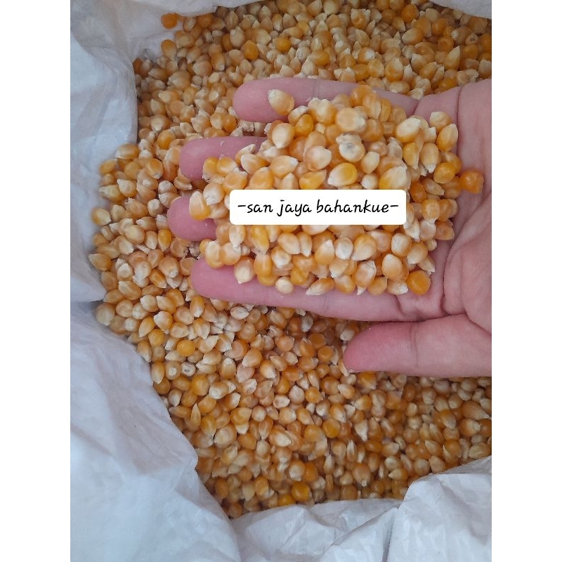 

JAGUNG POPCORN MENTAH 100GR