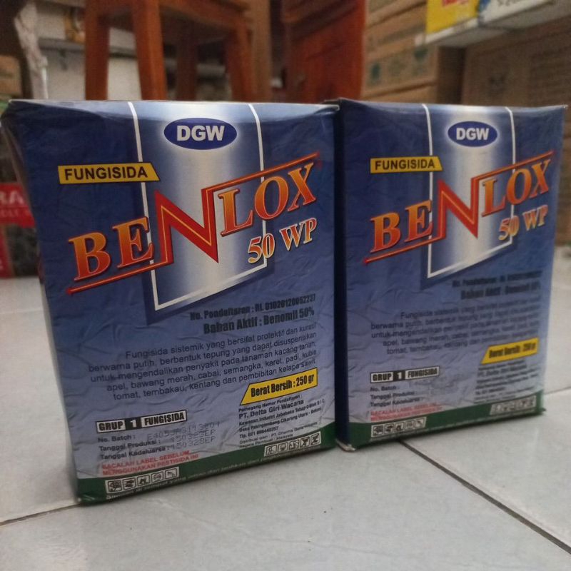 FUNGISIDA BENLOX 50WP 250GR
