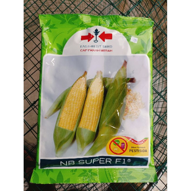 Benih bibit jagung manis NB super f1 cap panah merah