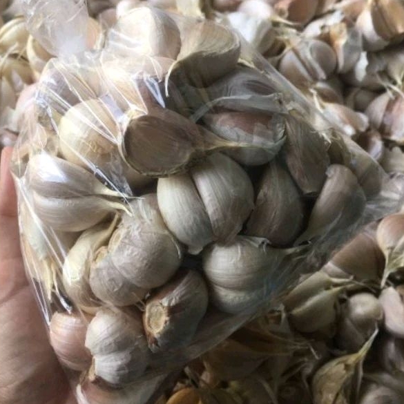 

BAWANG PUTIH KATING PREMIUM FRESH BERSIH - PAKET 500gr DAN 1kg