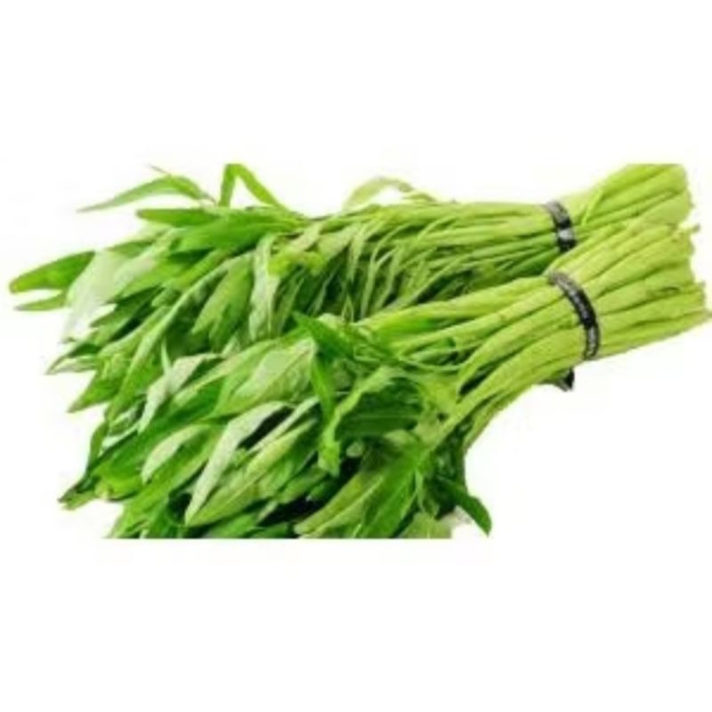 

KANGKUNG Super Fress 1 Iket